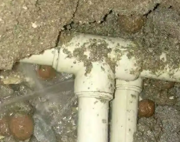 上城测漏水多少钱