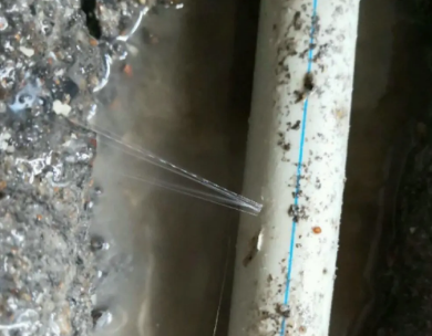 上城测漏水哪家好