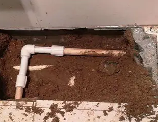 上城测漏水哪家好