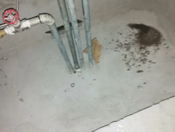 上城卫生间测漏水价格明细