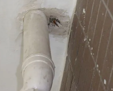 上城漏水检测哪家好